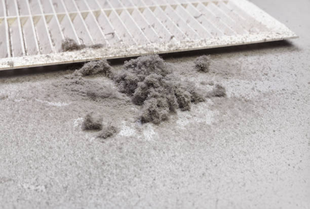 Best Professional Duct Cleaning Services  in Connersville, IN